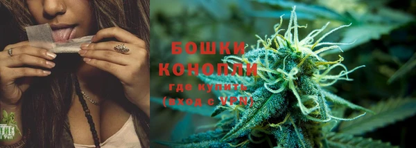 ГАЛЛЮЦИНОГЕННЫЕ ГРИБЫ Белокуриха