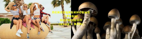 тгк Баксан